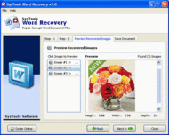 SysTools Word Recovery Tool screenshot